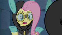 Fluttershy "Angel and I were separated!" S9E4