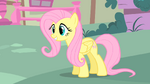 Fluttershy is very happy S1E17