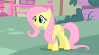 Cute Fluttershy.