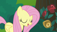 Fluttershy looking forward to quiet time S8E13