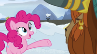 Pinkie Pie "Twilight Sparkle and the other ponies!" S7E11
