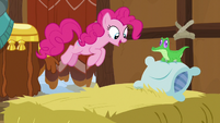 Pinkie Pie jumping on a yak bed of hay S7E11