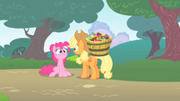 Pinkie tells Applejack that she's letting Twilight follow her.