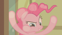 Pinkie Pie which one is it S2E13