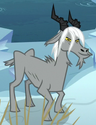 Queen Chrysalis mountain goat form ID S9E8.png (209 KB) Mountain goat, Frenemies