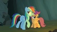 Rainbow Dash "practically" S7E16.png (703 KB)
