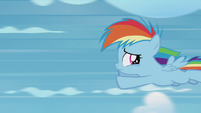 Rainbow Dash flying away from Twilight S5E25