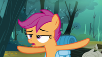 Scootaloo 'Just play it cool' S3E6