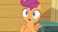 Scootaloo hears Gabby enter the clubhouse S6E19