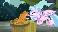 Silverstream enamored with the puckwudgie S8E2