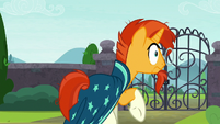 Where do you think you're going, Sunburst?