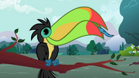 Toucan flicks out tongue S2E07