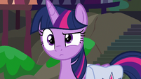 Twilight waiting for Apple Rose to continue S9E5