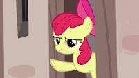 Apple Bloom giving Scootaloo the signal S7E8