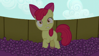 Apple Bloom in stunned surprise S5E17