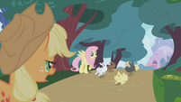 Applejack sees bunnies running away S1E04