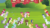 Crowd of foals walking towards the CMC S4E15