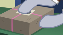 Derpy picks up the box.