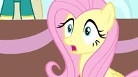 Fluttershy is shocked.