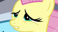 Fluttershy reaches a decision S2E22