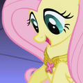 Fluttershy sees Element of Harmony S1E02