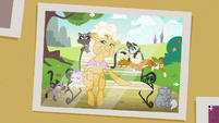 Goldie Delicious and her cats in a photo S6E21