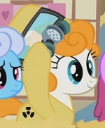 Hazel Harvest ID S2E06