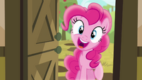 Pinkie Pie "hey cousin!" S4E09