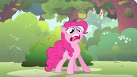 Why does this surprise you, Pinkie?