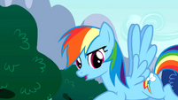 Rainbow Dash "What have we learned" S01E16