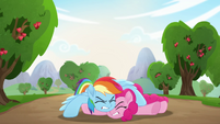 Rainbow Dash and Pinkie Pie on the ground MLPRR