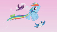 S01E11 Rainbow Dash i ptaki