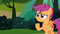 Scootaloo in complete disbelief S7E21