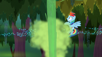 Swamp geyser bursts in front of Rainbow S8E17