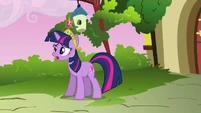 Twilight thinks it is necessary to go to dinner S03E10