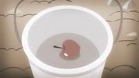 An apple being put into a bucket S4E07