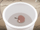 An apple being put into a bucket S4E07.png