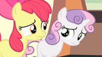 Apple Bloom and Sweetie Belle looking at each other S4E05