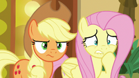 Applejack puts on a determined face S6E20