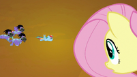 Fluttershy flying in Rainbow Dash's direction S9E2