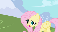 Fluttershy whispers her name again while backing away S1E01