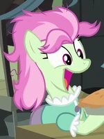 Lady Beetle ID S4E17