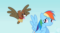 Rainbow Dash, a bit creeped out.