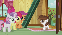 Pipsqueak wants the CMC to be their campaign managers S5E18