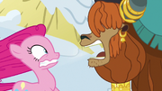 Prince Rutherford bellowing loudly at Pinkie Pie S7E11