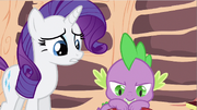 Rarity don't want S2E21