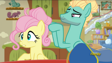 S06E11 Zephyr Breeze robi Fluttershy fryzurę