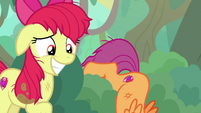 Scootaloo falling over on the ground S9E22