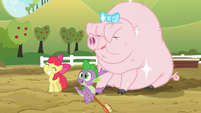 Spike, Apple Bloom, and sparkly pig S03E09