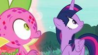 Twilight and Spike looking at the sky S8E11